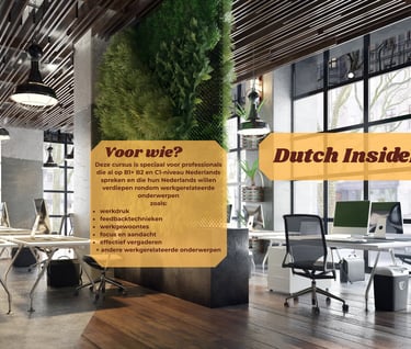 Dutch Course B1 B2 C1