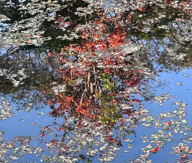 psichologine grupe savivokai ramybe ir vidinis aiskumas