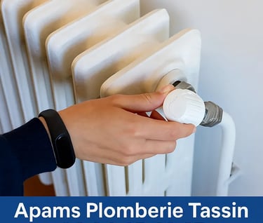 Reparateur plomberie radiateur fuite d eau Tassin La Demi Lune 69160