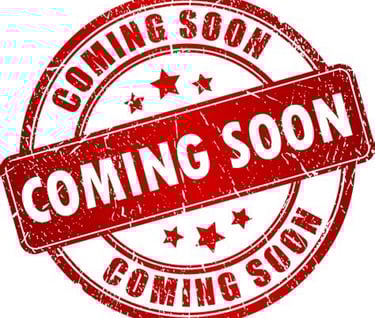 secure mobile, secure cellphones, cybersecurity, SIM swap protection, executive, founder, owners