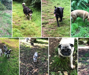 retour en images été 2023