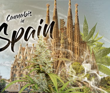 Cannabis in Spain