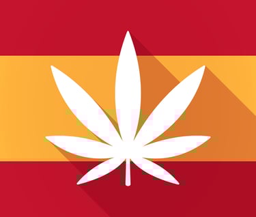 Spain cannbis rules