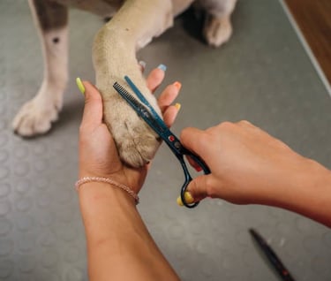 Do not forget to trim the paws