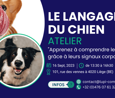 a dog with a tongue sticking out of its tongue