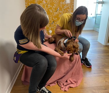 Lindsay Tonneau et Dr. Palleva travaillant à l'examination de Cooper.