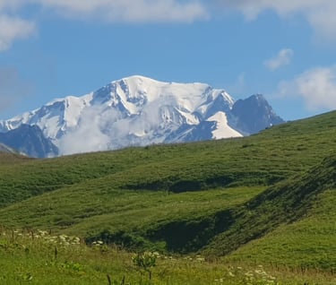 a mountain scene with a cow grazing in the grass