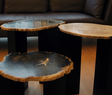 3 Petrified Wood Slices on metal bases as a coffee table
