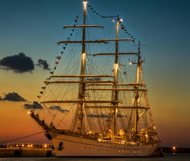 Asian Marine Surveyors (Pvt) Ltd - Professional Marine Surveyors