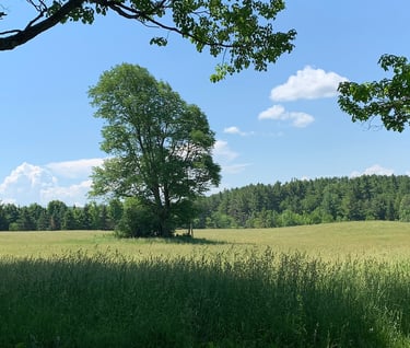 Préservons la ruralité du District 6 de Magog, Québec, Canada
