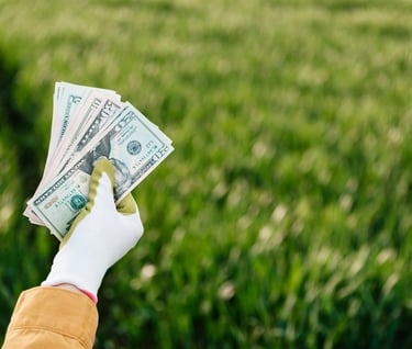 Passive income for life - a person holding a bunch of money bills