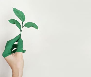 Personal Growth - a person's hand holding a plant with green leaves