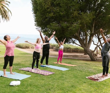 wellness practices - a group of people doing yoga on a sunny day