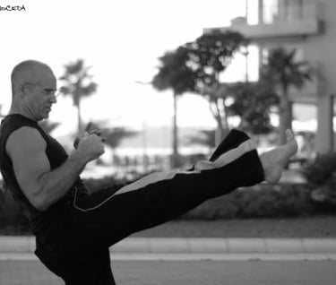 Maestro Santos Kick Boxing