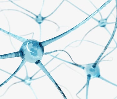 Can Physical Therapy Alleviate the Pain of a Pinched Nerve?