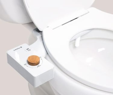 Tushy Bidet