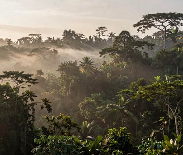 An elegant wide shot of the lush Ubud jungle canopy at sunrise, with light mist clinging to the trees. The composition is serene and atmospheric. Palette features #C8B6A6 and #7B6654.