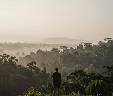 A wide atmospheric shot of a solo traveler looking over the misty Ubud jungle at dawn. The deep greens and earth tones of #3F322A blend with the soft #F8F5EF mist. The composition is minimalist and serene, emphasizing natural beauty and authenticity.