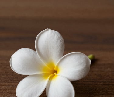 A minimalist detail shot featuring a single white Frangipani flower resting on a dark #3F322A wooden surface. The lighting is soft and warm, highlighting the delicate textures and the brand's focus on authentic, simple beauty. Colors: #F8F5EF, #7B6654.