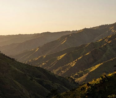Breathtaking landscape of a South American coffee valley at sunset. The sky is a soft cream and the mountains are layered in shades of moss green and dark brown. Rule of thirds composition with a calm sky on the left.