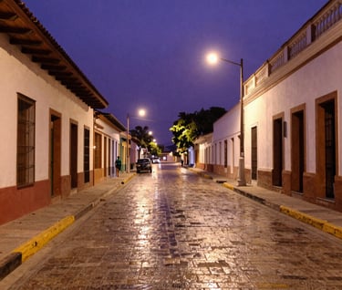 An outdoor photography shot of a quiet street in Maracay, Venezuela during the blue hour, city lights reflecting on the pavement, deep purple and cream color palette, conveying a sense of social reflection and emotional depth.