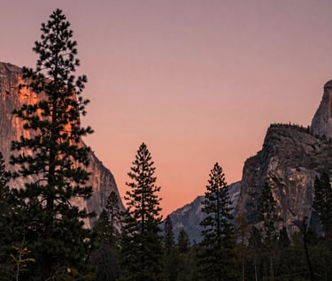A stunning landscape photograph of a North American / US national park at sunset. The sky is a warm dusty rose, casting a soft glow over the silhouettes of tall pine trees. The composition is artistic and professional.