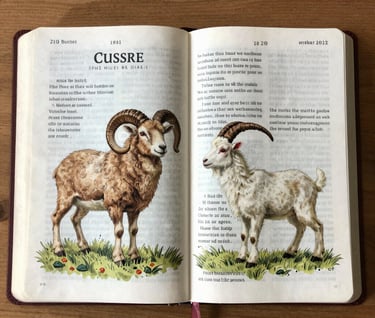 woman wearing black scoop-neck long-sleeved shirt