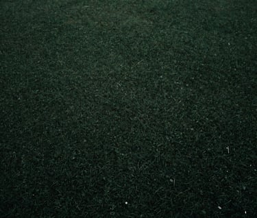 Minimalist photography of a dark green and black textured surface, cinematic lighting, portraying a sense of depth and sophisticated technology, Brazilian aesthetic.