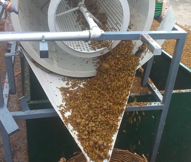 Prvo strojno prosijavanje sjemenki