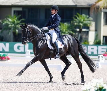 Rick Rockefeller-Silvia on the black stallion, Rubinero