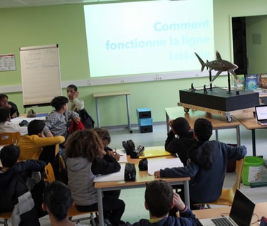 des élèves dans une classe , avec la maquette du requin, et un écran qui présent les requins