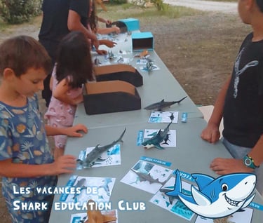 des enfants en vacances sur une table qui découvrent les figurines de la boite à requins