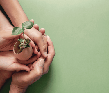 Acerca de nuestra conciergería