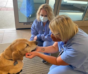 Nurses petting a Therapy Dog