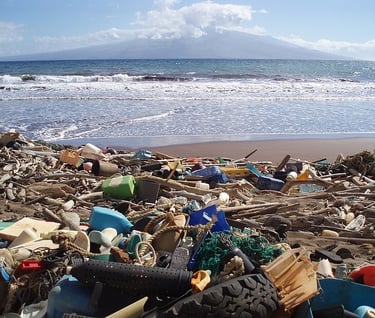 trash on the beach. wiki comms
