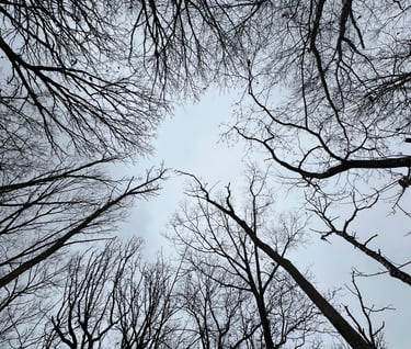 Nature Divine Peace