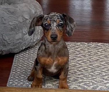 Ruby