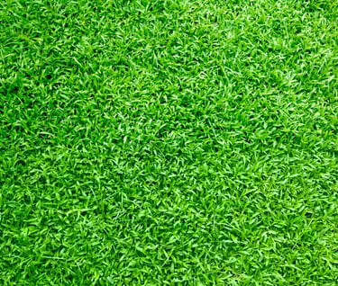 artificial grass
