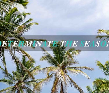 The best season to get married in Mexico