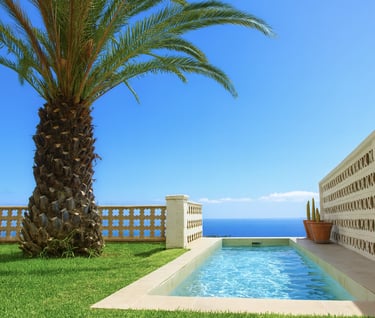 Ubicación Bencomo Coliving Santa Úrsula Tenerife Norteu. Una palmera y una piscina con vistas al mar