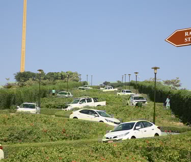 a bunch of cars parked in a grassy field