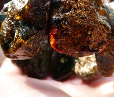 baltic amber bracelet