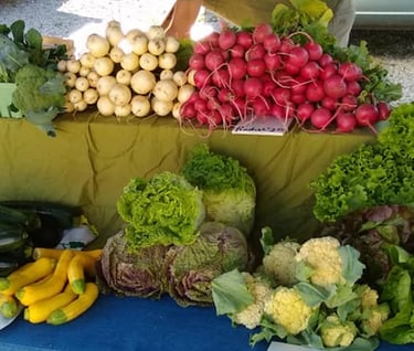 Sycamore Bend Farm Market