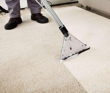 Professional Carpet Steam Cleaning Services