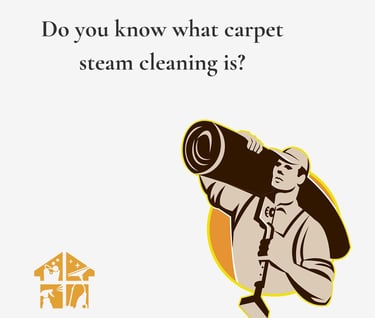 Professional Carpet Steam Cleaning Services