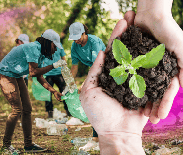pessoas com uma planta nas mãos enquanto uma equipe de voluntários limpa um bosque