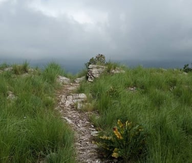 Scenic Hiking Trails of Togo