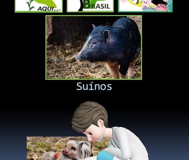 Suinocultura