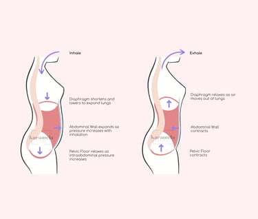Diaphragmatic Breathing for Pelvic Health - Inhale and Exhale