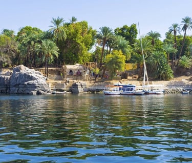 a boat on the water with palm trees in the background